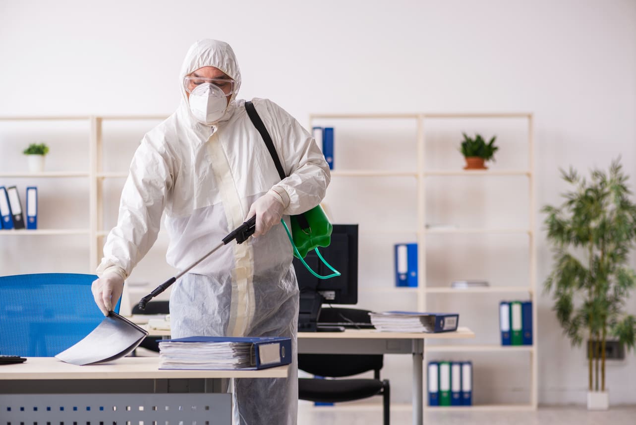 Disinfeksi Profesional